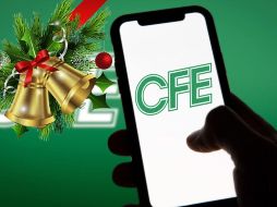 La CFE exenta a algunas personas de pagar el recibo de luz. ESPECIAL