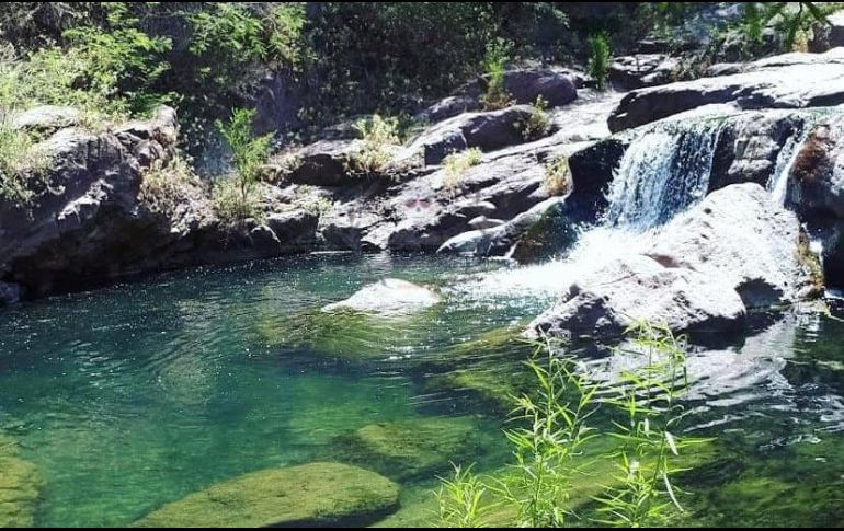 El Río Caliente de Cuquío es el río de aguas termales más profundo de Jalisco. ESPECIAL