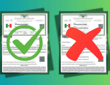 Una CURP certificada debe contener determinados elementos en su contenido. ESPECIAL