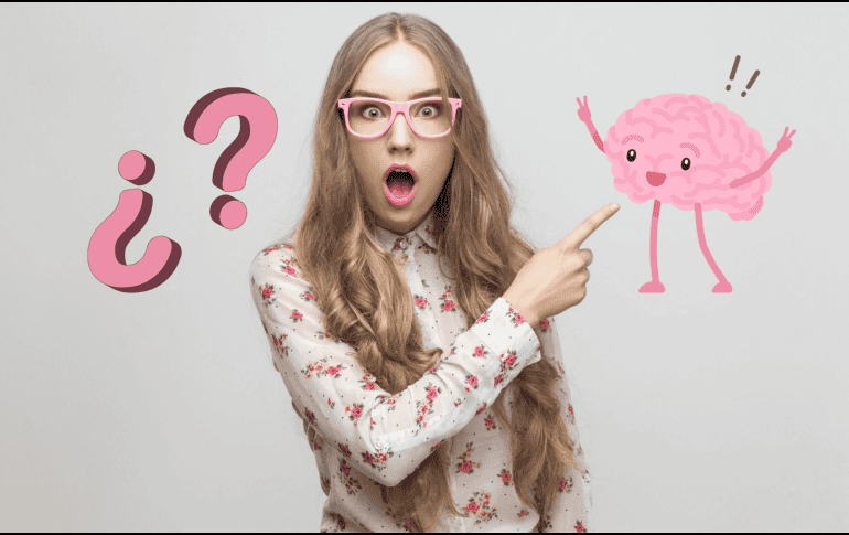 El cerebro humano también tiene datos curiosos que se descubrieron desde hace tiempo hasta hoy. ESPECIAL/PIXABAY