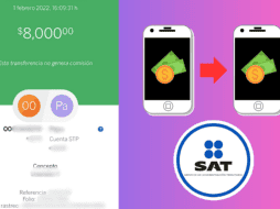 El Servicio prioriza la transparencia y la claridad, por ende, se recomienda que el concepto de transferencias consista en descripciones específicas y formales. ESPECIAL