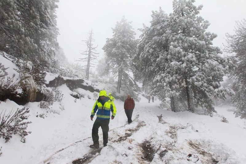 En el Nevado de Colima puede caer nieve en invierno. EL INFORMADOR / ARCHIVO