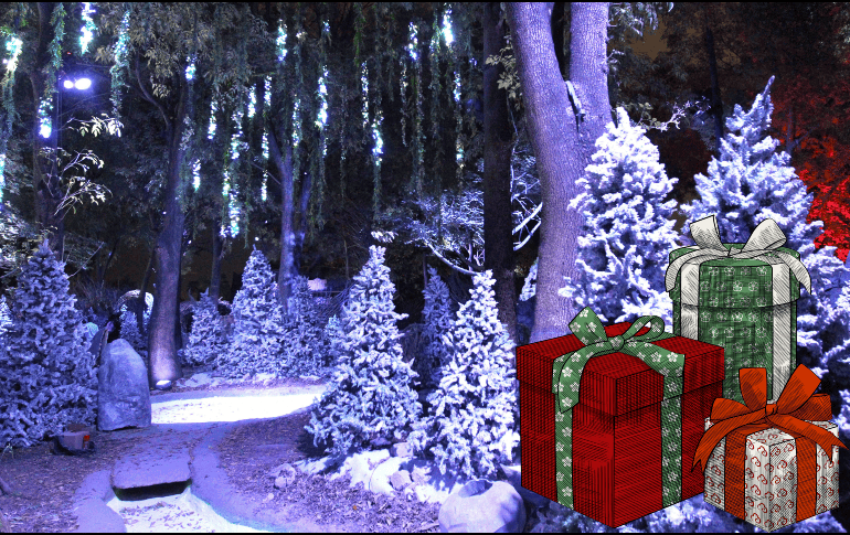 Con estas ideas, podrás garantizar que el intercambio sea una experiencia agradable y que no de cringe. EL INFORMADOR / ARCHIVO