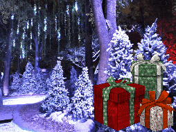 Con estas ideas, podrás garantizar que el intercambio sea una experiencia agradable y que no de cringe. EL INFORMADOR / ARCHIVO