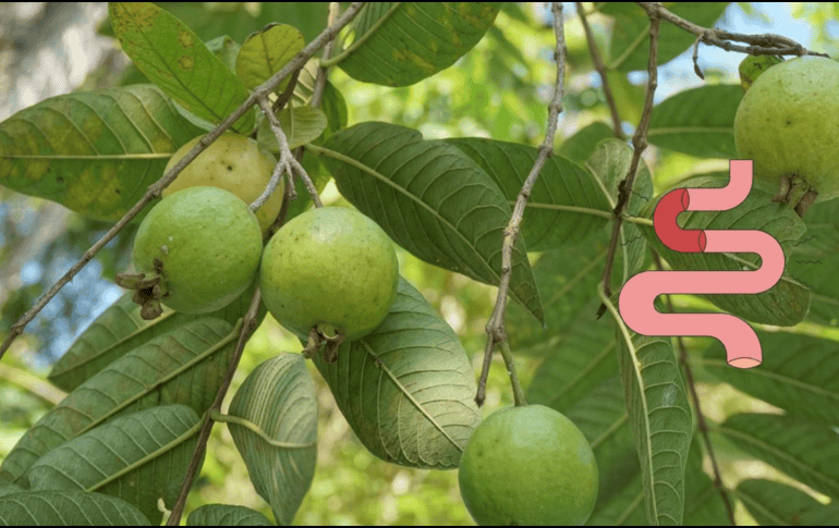 Se recomienda consultar a un especialista en nutrición. UNSPLASH / A. WULAN