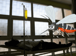 América Latina y el Caribe se llevaron la peor parte en cuanto a gastos por chikungunya, más de 2 mil 400 millones de dólares directos, y 40 mil 300 indirectos. EFE/ ARCHIVO/ CANVA/ ESPECIAL