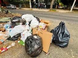 Ciudadanos han denunciado que los camiones dejan de pasar por varios días. EL INFORMADOR/ A. Navarro