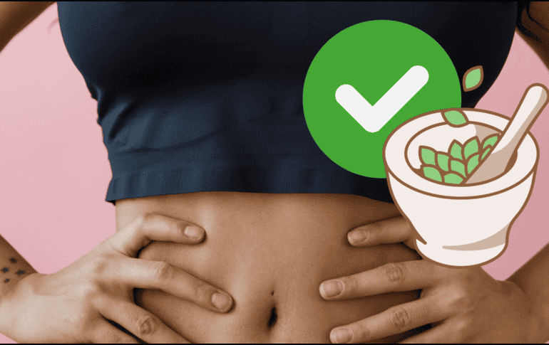 La herbolaria es una alternativa ideal para combatir malestares intestinales. PEXELS/RDNE Stock project