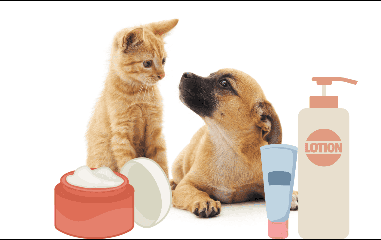 La veterinaria Cristina Pascual responde si es recomendable o no usar crema hidratante para humanos en nuestras mascotas. ESPECIAL/ CANVA