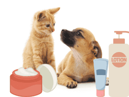 La veterinaria Cristina Pascual responde si es recomendable o no usar crema hidratante para humanos en nuestras mascotas. ESPECIAL/ CANVA