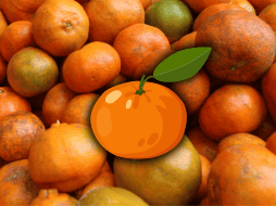 No existe una cantidad universal que determine cuánto es 