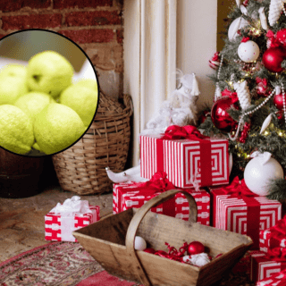 ¿Por qué es importante comer guayaba en época de Navidad?