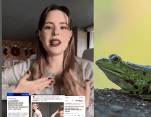 Marcela Alcaraz pidió a los medios de comunicación y periodistas a investigar bien sus fuentes, y rectificar su error, pues aseguró que la noticia sobre su supuesta muerte afectó a sus amigos y familiares. ESPECIAL/INSTAGRAM/marcelalcaraz.m/ Pixabay.