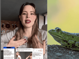 Marcela Alcaraz pidió a los medios de comunicación y periodistas a investigar bien sus fuentes, y rectificar su error, pues aseguró que la noticia sobre su supuesta muerte afectó a sus amigos y familiares. ESPECIAL/INSTAGRAM/marcelalcaraz.m/ Pixabay.