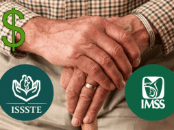 El cambio se impartirá a partir del 1 de enero del año entrante. ESPECIAL/Imagen de Steve Buissinne en Pixabay