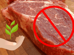 El creciente interés en las algas como alternativa a la carne refleja su valor nutricional y versatilidad. Incorporarlas en la dieta puede ser una manera efectiva de obtener proteínas y otros nutrientes esenciales mientras se disfruta de los múltiples beneficios que ofrecen para la salud general. CANVA