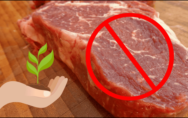 El creciente interés en las algas como alternativa a la carne refleja su valor nutricional y versatilidad. Incorporarlas en la dieta puede ser una manera efectiva de obtener proteínas y otros nutrientes esenciales mientras se disfruta de los múltiples beneficios que ofrecen para la salud general. CANVA