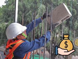 Este será el salario diario de 61 ocupaciones en México con la actualización al salario mínimo. EL INFORMADOR / ARCHIVO