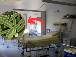 Asimismo, siete pacientes se encuentran hospitalizados. PIXABAY