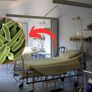 Fallecen 13 menores en Edomex por posible contagio de bacteria Klebsiella oxytoca