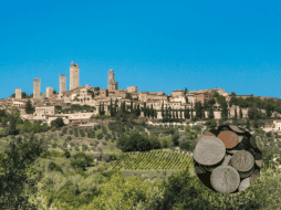 En 2026 se abrirá una galería en el lugar para albergar todos estos bronces. Flickr / Pexels