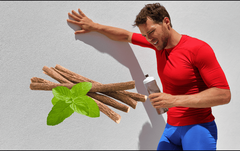 Esta curiosa planta también es conocida por sus poderosas propiedades antiinflamatorias, lo que la convierte en un excelente remedio para las mucosas y vías respiratorias. ESPECIAL/ CANVA