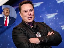 Musk estará al frente del nuevo Departamento de Eficiencia Gubernamental. EFE / ARCHIVO