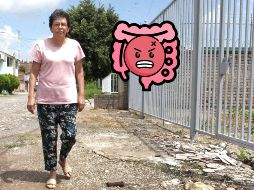 El consumo de este alimento es esencial para evitar los malestares del colon irritable. EL INFORMADOR / ARCHIVO