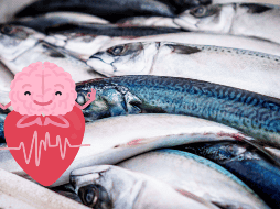 De entre los peces azules, la caballa es uno de los populares, debido a sus múltiples ejercicios. CANVA