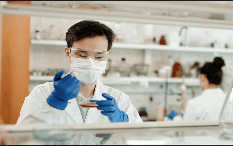 La gripe aviar es una enfermedad infecciosa que afecta a las aves. Pexels