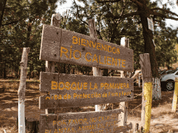 El Bosque La Primavera es perfecto para desconectar de la rutina y disfrutar de la naturaleza. CORTESÍA / Turismo Zapopan