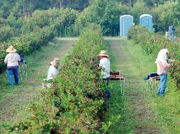Mexicanos en Estados Unidos representan un importante ingreso económico para el país. EL INFORMADOR/ Archivo