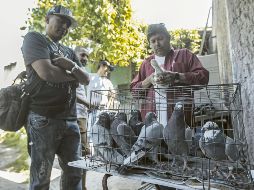 La diputada promueve iniciativas legislativas para prohibir la venta de animales y proteger a familias afectadas por desapariciones. EL INFORMADOR/ Archivo