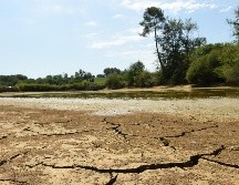 En 2023, el fenómeno 