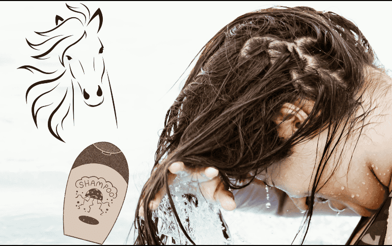 Mientras la ciencia desacredita los supuestos milagros del shampoo de caballo, su fama sigue alimentándose por las opiniones de las y los consumidores. UNSPLASH / E. Larregui