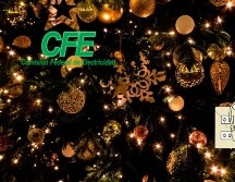 Seguir las recomendaciones ayudará a mantener nuestros hogares seguros. UNSPLASH / N. FEWINGS