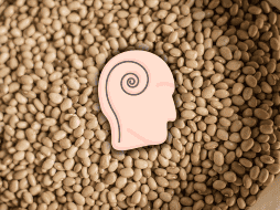 Alimentos naturales que ayudan con la ansiedad