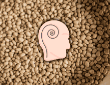 Alimentos naturales que ayudan con la ansiedad