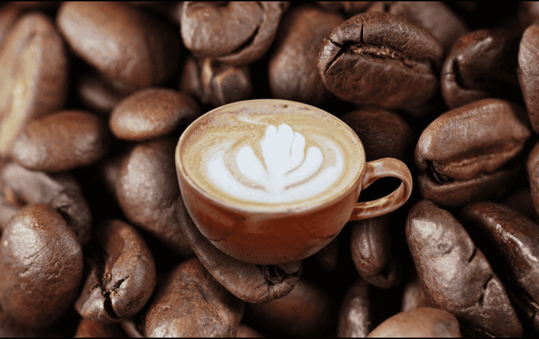 La forma en que guardamos el café influye en su vida útil y en cómo puede llegar a impactar en nuestra salud. EFE / ARCHIVO