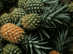 También puedes aprovechar la cáscara de piña preparándote en infusión con canela. Pixabay