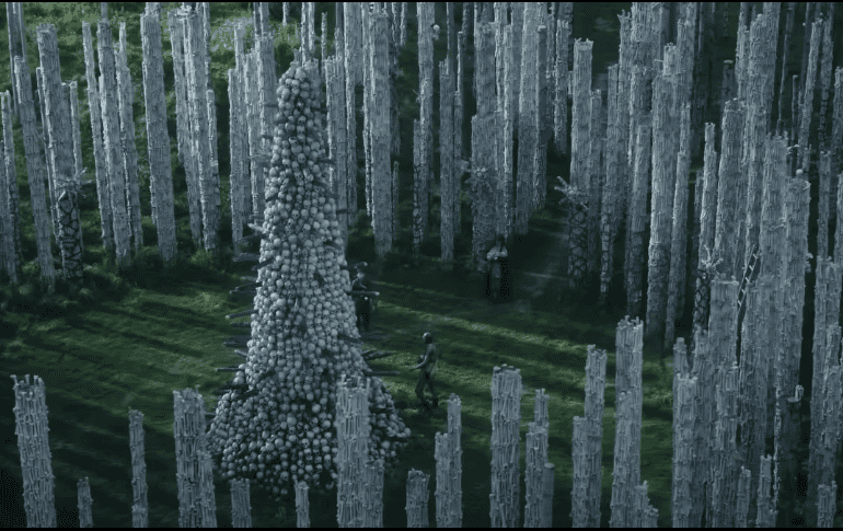 En este nuevo capítulo, el apocalipsis zombi alcanza la desesperación y crudeza característica del estilo apocalíptico. Sony Pictures Entertainment/ ESPECIAL