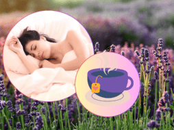 Como parte de sus beneficios, el té de lavanda reduce la presión arterial. ESPECIAL/Imagen de Claudio Scot en Pixabay/Imagen de 🍀💜Anna💜🍀 en Pixabay