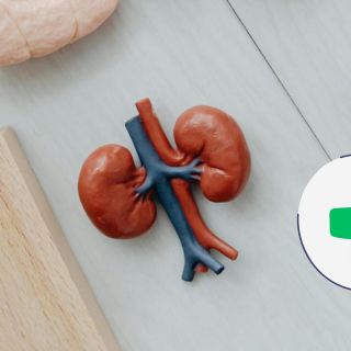 Recomendaciones que debes seguir para cuidar tus riñones