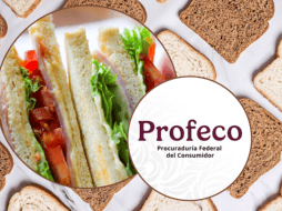 Estas opciones son ideales para las personas que buscan cuidar su salud. ESPECIAL/Imagen de LuckyLife11 en Pixabay/Imagen de Sofia Terzoni en Pixabay