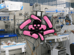 La Klebsiella oxytoca es una bacteria oportunista y potencialmente letal. EL INFORMADOR / ARCHIVO