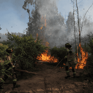 2024, un año de incendios forestales sin precedentes en América