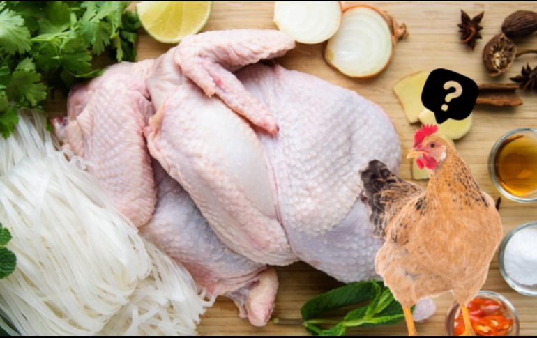 Es importante tener en cuenta los posibles riesgos asociados con su consumo excesivo, como desequilibrios nutricionales, problemas renales, y un aumento en la exposición a bacterias o antibióticos. CANVA