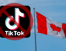 La plataforma de entretenimiento explicó que tiene 14 millones de usuarios en Canadá, lo que representa aproximadamente a un tercio de su población. ESPECIAL/Imagen de Jude Joshua en Pixabay