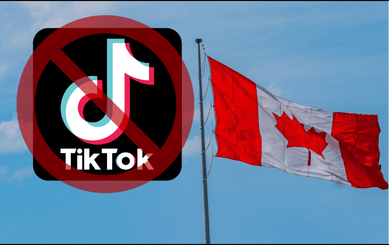 La plataforma de entretenimiento explicó que tiene 14 millones de usuarios en Canadá, lo que representa aproximadamente a un tercio de su población. ESPECIAL/Imagen de Jude Joshua en Pixabay