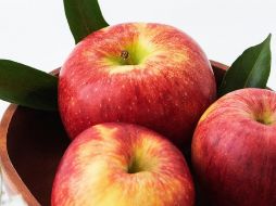 Foto de Trang N. Tran en Unsplash